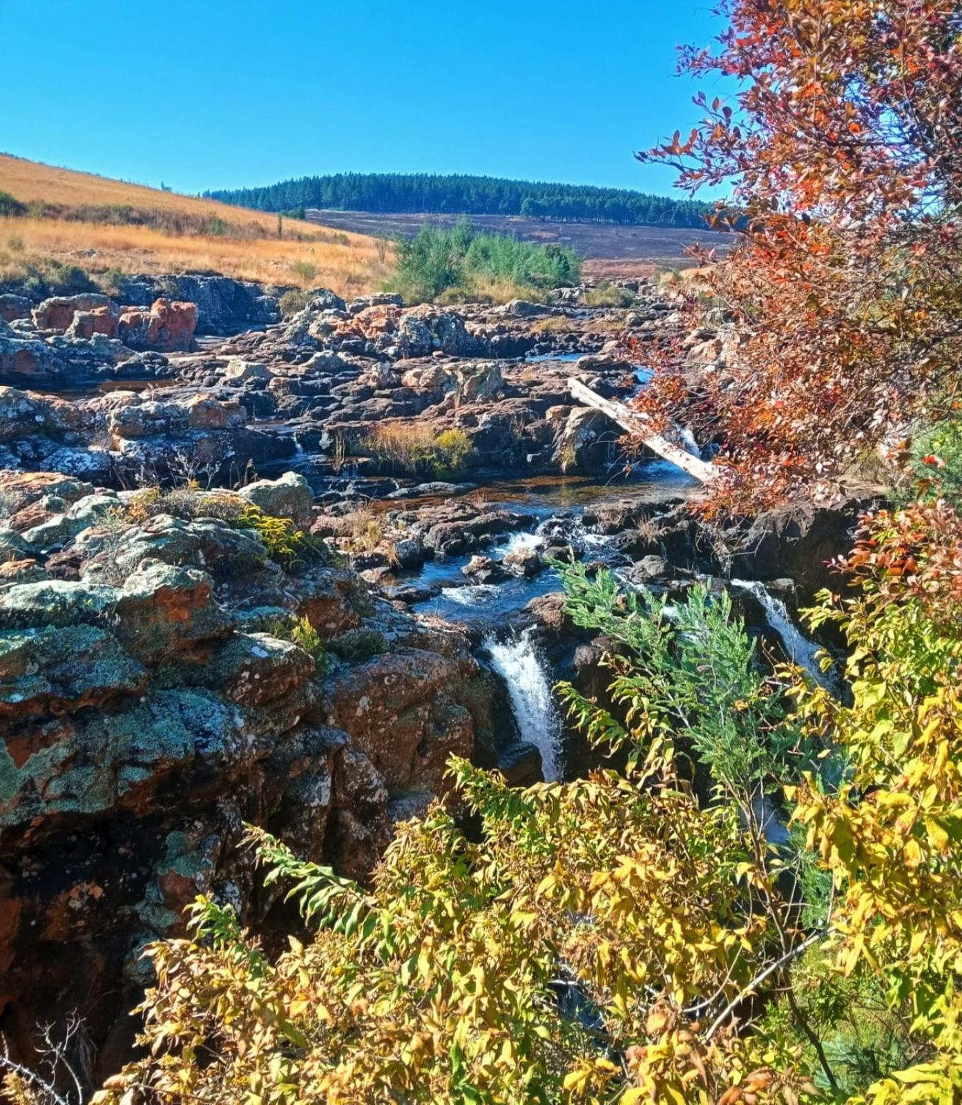 Eagles Nest Chalets Hazyview Kültér fotó